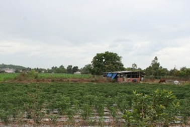 Lãnh đạo cồn Xuân Lộc nhận lỗi và hứa bồi thường