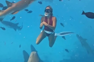 Cô gái bị cá mập cắn khi đang lặn xuống biển
