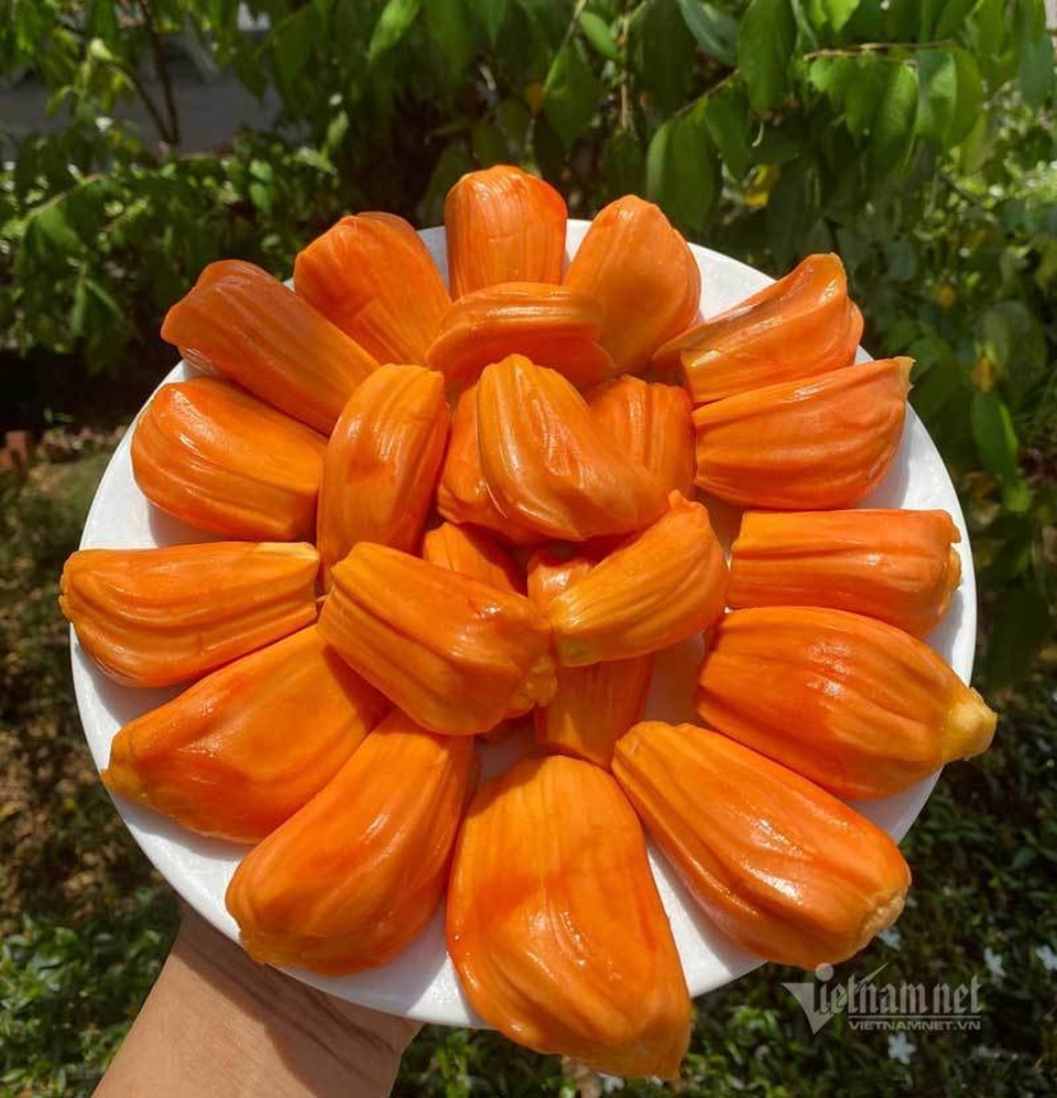 Mít lạ ở miền Tây, từ khách Nga cho tới Dubai đều tranh nhau mua - 4 Mít lạ ở miền Tây, từ khách Nga cho tới Dubai đều tranh nhau mua - 4