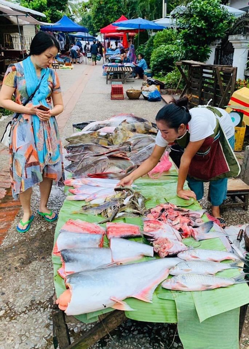 Nữ giảng viên đam mê nghiên cứu khoa học biển - 2 Nữ giảng viên đam mê nghiên cứu khoa học biển - 2