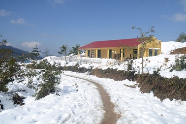 Tuyết vẫn phủ trắng Ý Tý