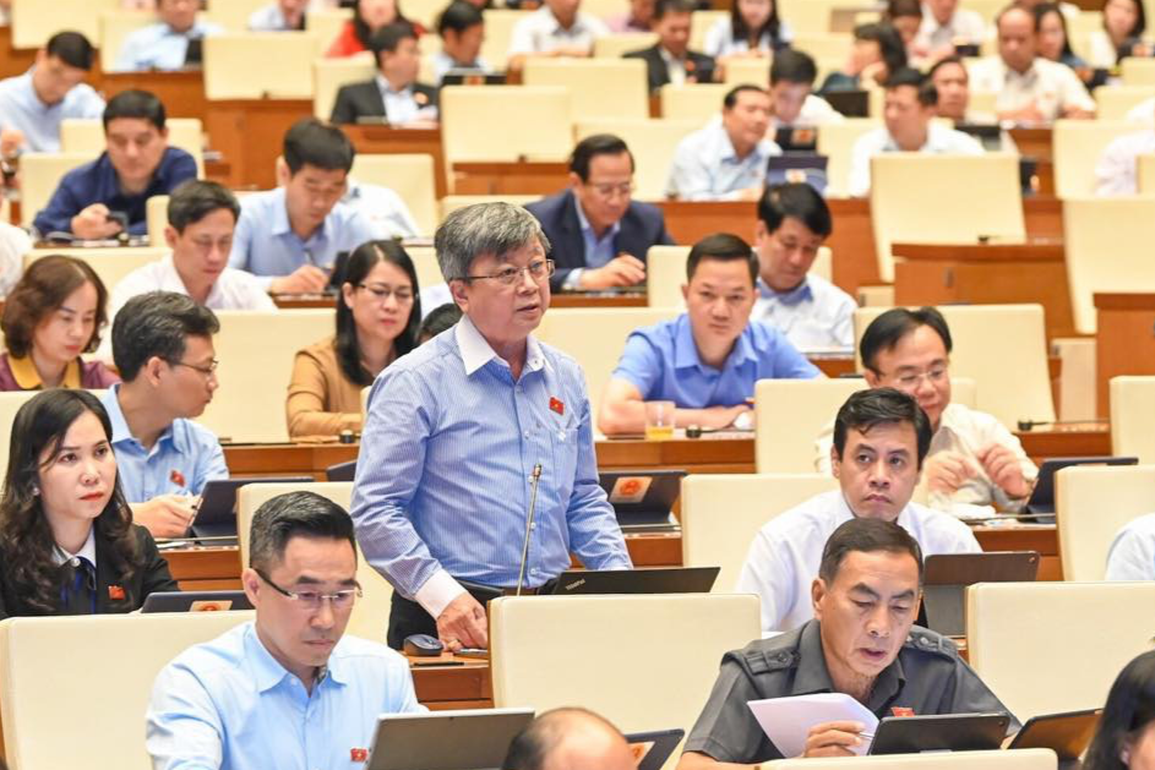 Một rừng luật kém chất lượng gây thiệt hại nhiều hơn... luật rừng - 1 Một rừng luật kém chất lượng gây thiệt hại nhiều hơn... luật rừng - 1