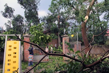 Mưa lốc lớn, hàng trăm ngôi nhà tốc mái, hư hỏng