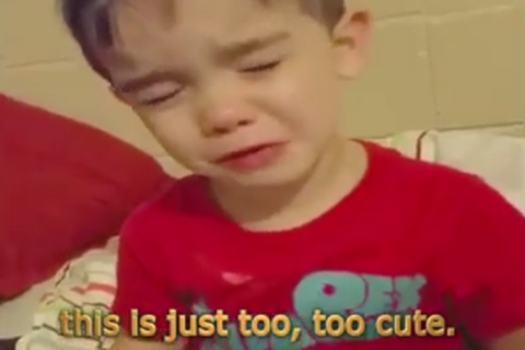 Bé khóc không ăn nổi "bữa tối quá dễ thương"