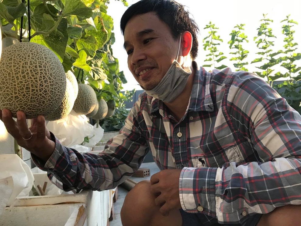Những gia đình Việt sống khỏe nhờ vườn sân thượng xanh tốt giữa mùa dịch - 10 Những gia đình Việt sống khỏe nhờ vườn sân thượng xanh tốt giữa mùa dịch - 10