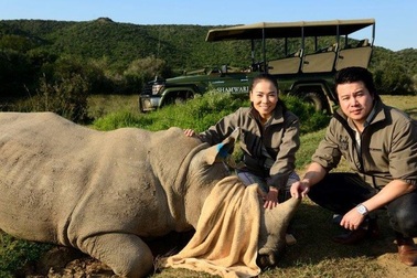 Nghệ sỹ Việt... cắn móng tay kêu gọi bảo vệ tê giác