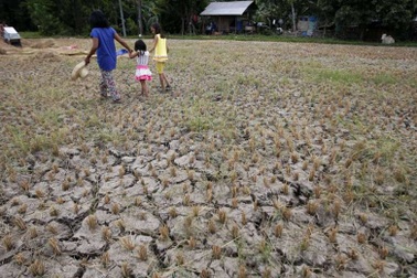 Trung Quốc xả thêm nước cứu hạn cho các nước Đông Nam Á