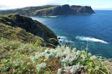 Nhật Bản sẽ cho ngân hàng Nga vay vốn để thúc đẩy đàm phán tranh chấp?