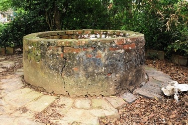 Phát hiện giếng cổ cách Thành nhà Hồ khoảng 300m   