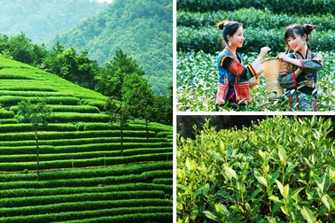 Đến thăm thành phố đẹp nhất thế giới tại Trung Quốc