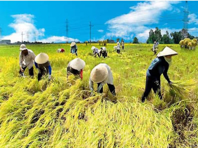 Phát triển sản xuất nông, lâm nghiệp sẽ là “chìa khóa” để mở ra cánh cửa thoát nghèo.