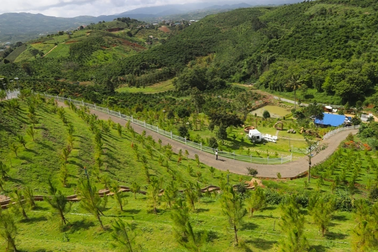 Vụ Ngọc Trinh đăng tin sở hữu 11ha đất: Phát hiện công trình không phép