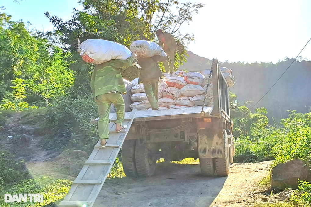 Loại cây gợi sự nghèo đói một thời giờ giúp bà con thu trăm tỷ đồng - 6