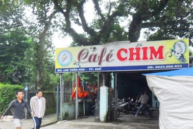 Đến cố đô thưởng thức cà phê chim