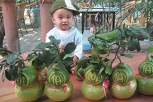 Chưa Tết, bưởi hồ lô đã “cháy” hàng