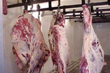 Một số mặt hàng giảm giá