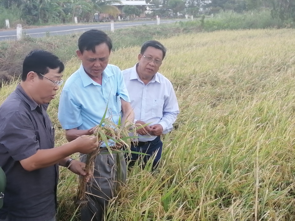 Thứ trưởng Bộ Nông nghiệp kiểm tra hạn, mặn tại Cà Mau - 3 Thứ trưởng Bộ Nông nghiệp kiểm tra hạn, mặn tại Cà Mau - 3