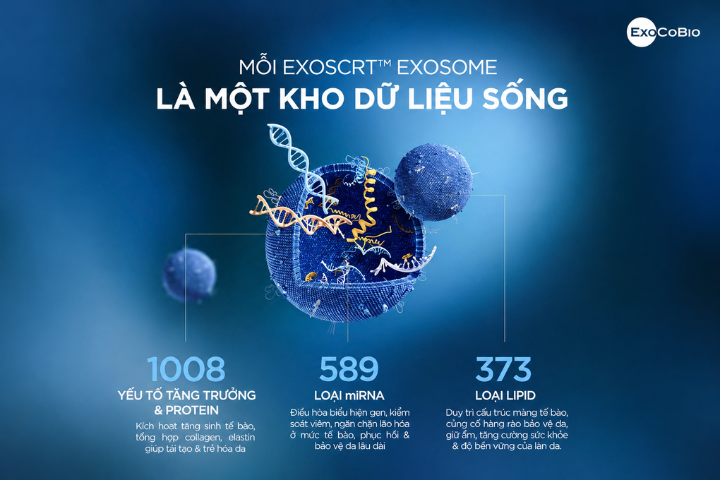 Exosome: Khi công nghệ tái tạo bắt nguồn từ dữ liệu khoa học - 2 Exosome: Khi công nghệ tái tạo bắt nguồn từ dữ liệu khoa học - 2