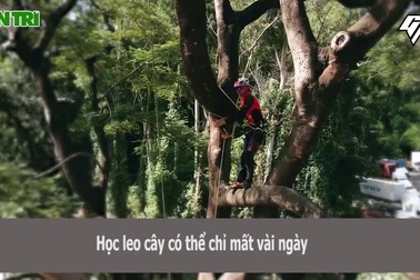 Chàng trai 10 năm "đu dây" để "phẫu thuật" cho cây giữa phố