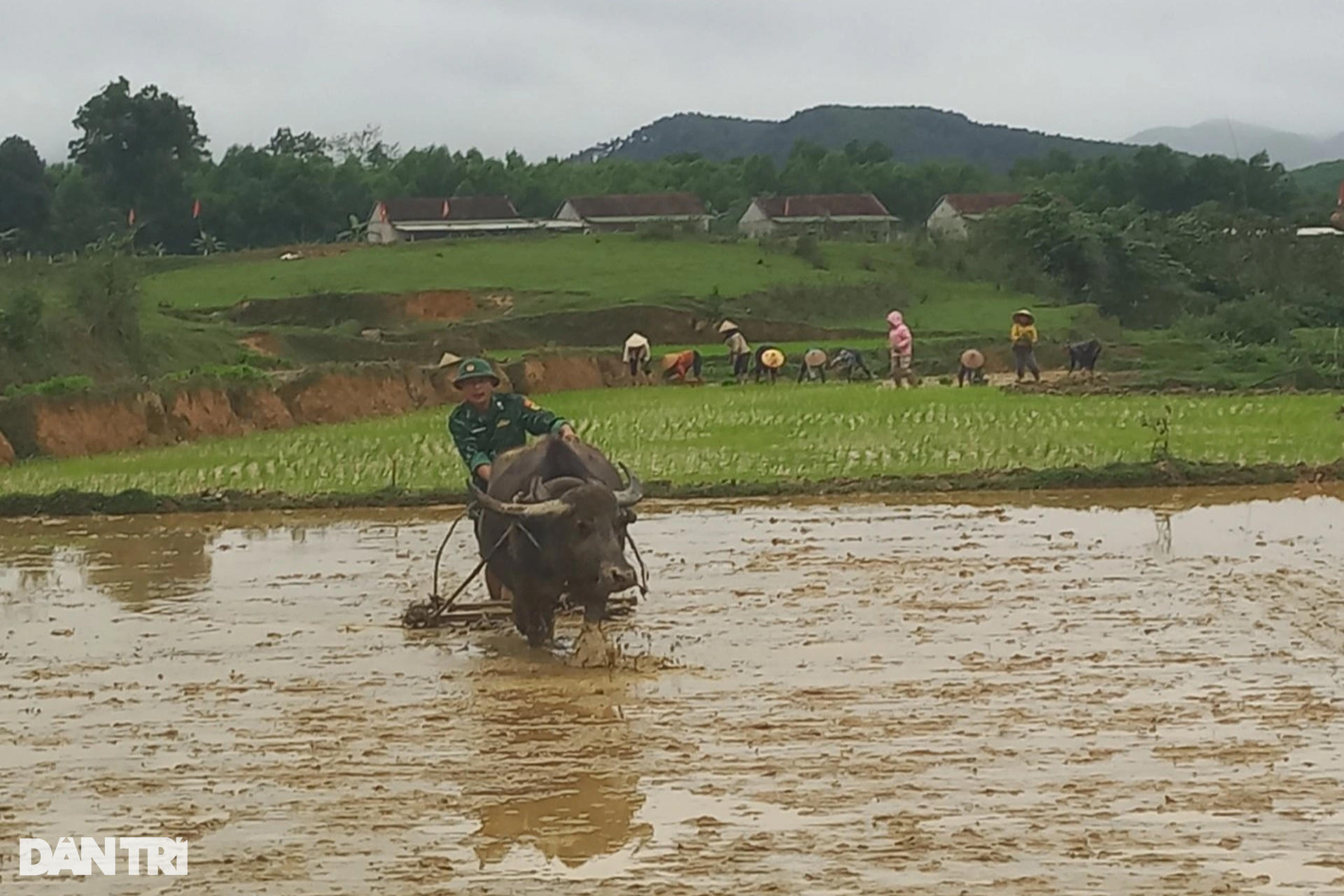 Đưa tộc người tưởng như tuyệt chủng từ hang đá bước ra ánh sáng - 2 Đưa tộc người tưởng như tuyệt chủng từ hang đá bước ra ánh sáng - 2