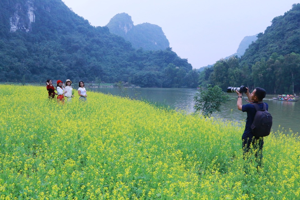 Vườn hoa cải rực vàng đẹp mê hồn khiến du khách nao lòng ở Thung Nham - 20 Vườn hoa cải rực vàng đẹp mê hồn khiến du khách nao lòng ở Thung Nham - 20