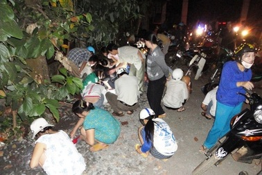 Người dân đã ngừng đào đường tìm vàng  