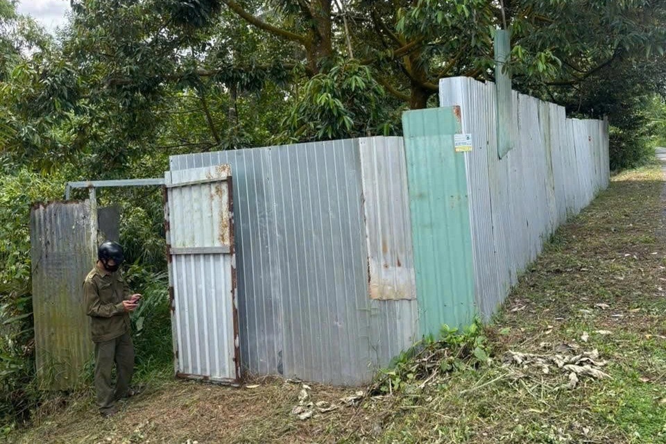Phát hiện thi thể nam giới đã phân hủy trong vườn sầu riêng - 1