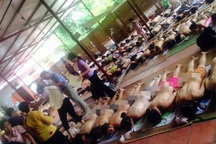 Vụ giẫm lên người để chữa bệnh: “Kiểm tra thì dễ nhưng xử lý rất khó”