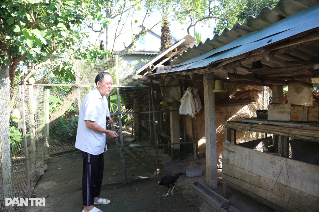 Vợ chồng thương binh nhặt khoai, mót sắn nuôi 8 con thành nhà giáo - 5 Vợ chồng thương binh nhặt khoai, mót sắn nuôi 8 con thành nhà giáo - 5