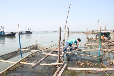 Chuyên gia nước ngoài đến Thừa Thiên Huế lấy mẫu tảo lạ