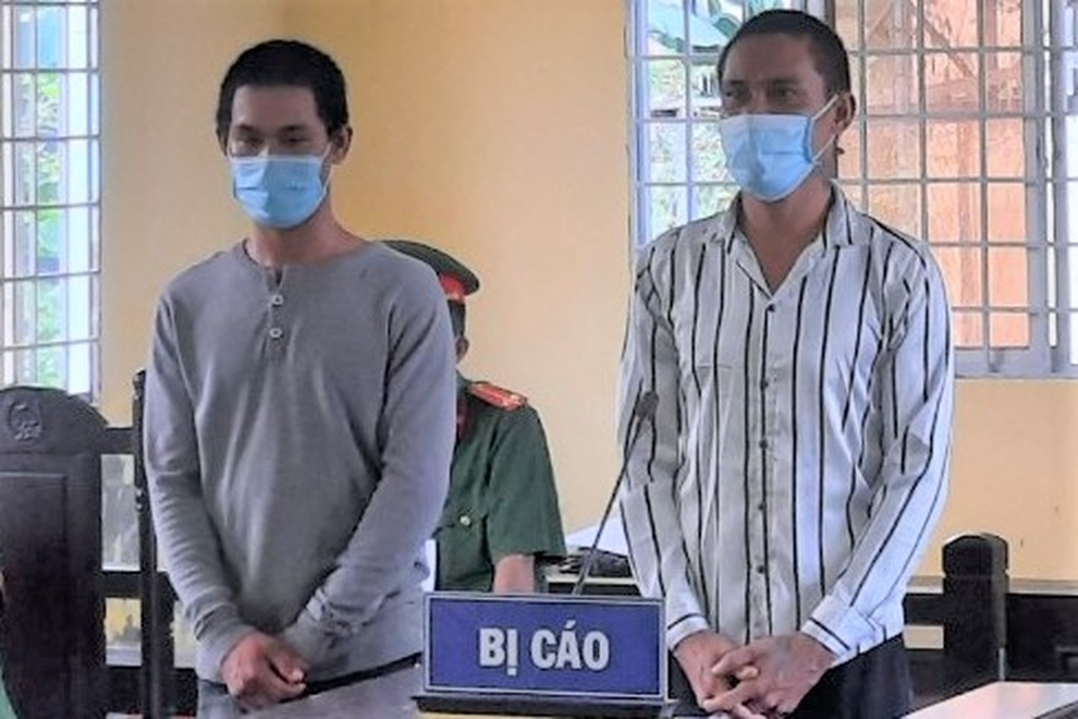 Hai anh em ruột lĩnh án vì chống người thi hành công vụ ở chốt kiểm dịch - 1 Hai anh em ruột lĩnh án vì chống người thi hành công vụ ở chốt kiểm dịch - 1