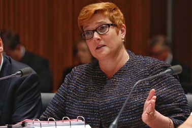 Ngoại trưởng Australia chỉ trích Trung Quốc đâm tàu Việt Nam trên Biển Đông