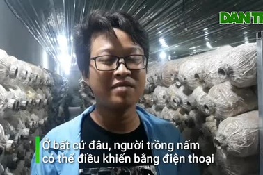 Kỳ lạ: "Rót" 500 triệu đồng, ngồi một chỗ "điều khiển" nấm mọc theo ý muốn