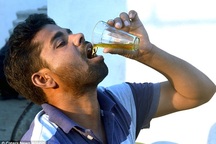 Dân làng thi nhau uống nước tiểu bò để chữa bệnh