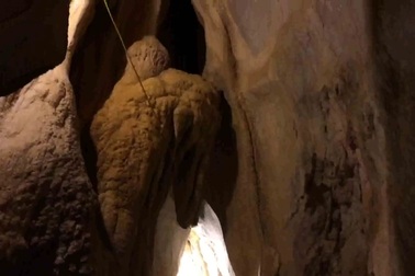 Rắn Hổ Mang trên vách đá Động Kim Cương