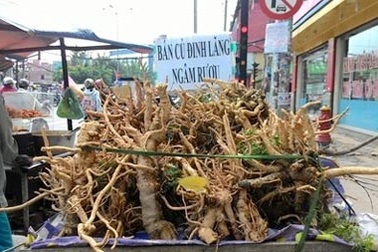 Rượu ngâm rễ cây: Bổ đâu chưa thấy, coi chừng bổ ngửa