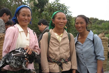 Ngược miền gà đen