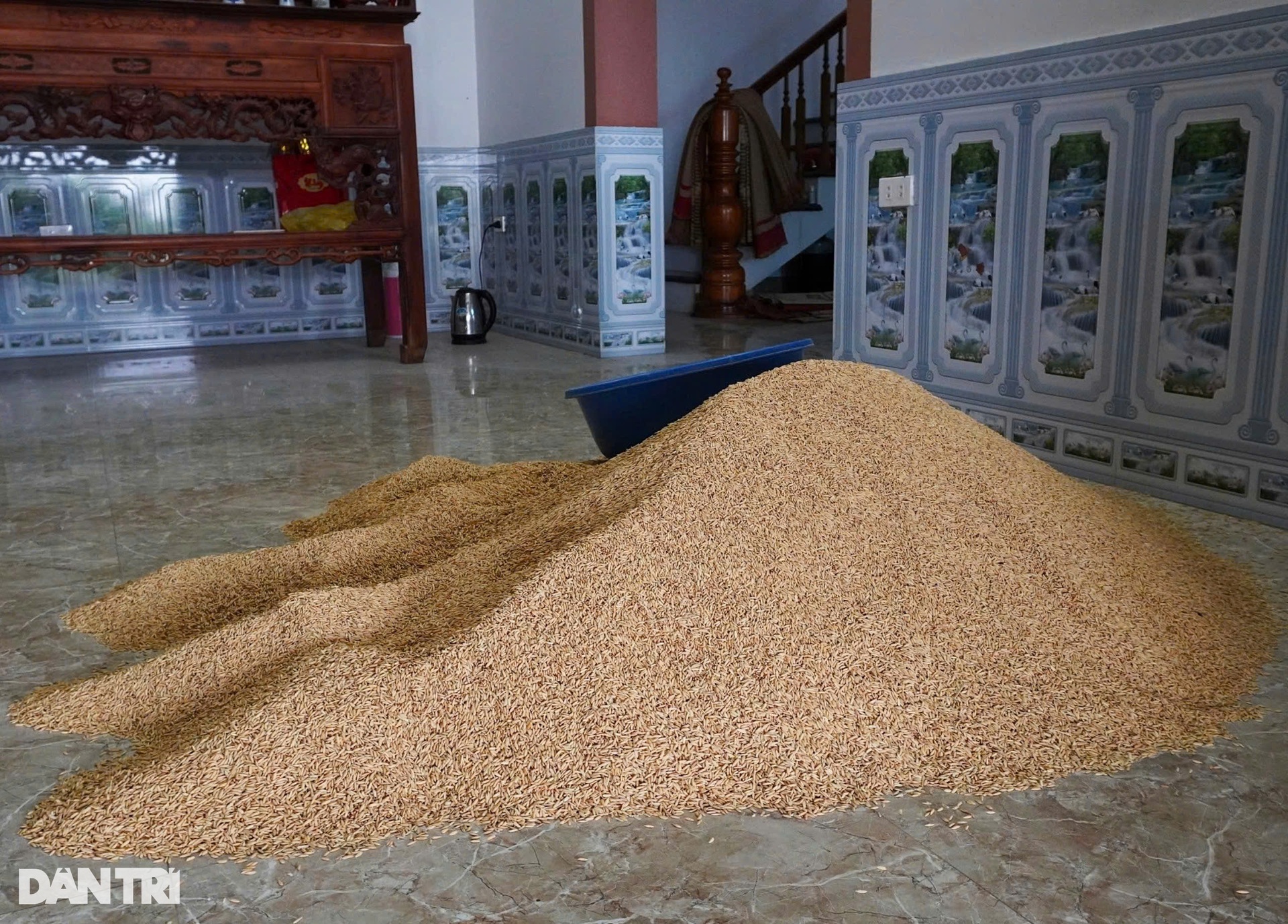 Hà Nội: Nước ngập đến cổ, lão nông mất trắng 2 ao cá, đàn trâu gặp nguy - 4 Hà Nội: Nước ngập đến cổ, lão nông mất trắng 2 ao cá, đàn trâu gặp nguy - 4