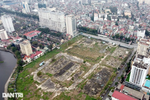 Chủ đất vàng Giảng Võ lãi tăng gần 54%, dự án tại Đông Anh chuyển biến