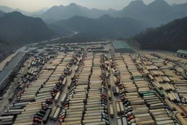 Ùn ứ cửa khẩu tăng thêm, chủ nghìn xe dưa, chuối, mít "ngồi trên đống lửa"