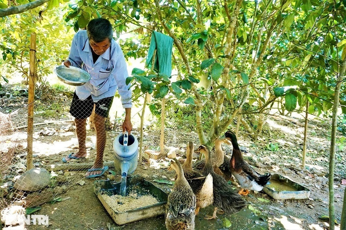 Dị nhân gần nửa thế kỷ không ngủ bây giờ ra sao? - 11 Dị nhân gần nửa thế kỷ không ngủ bây giờ ra sao? - 11