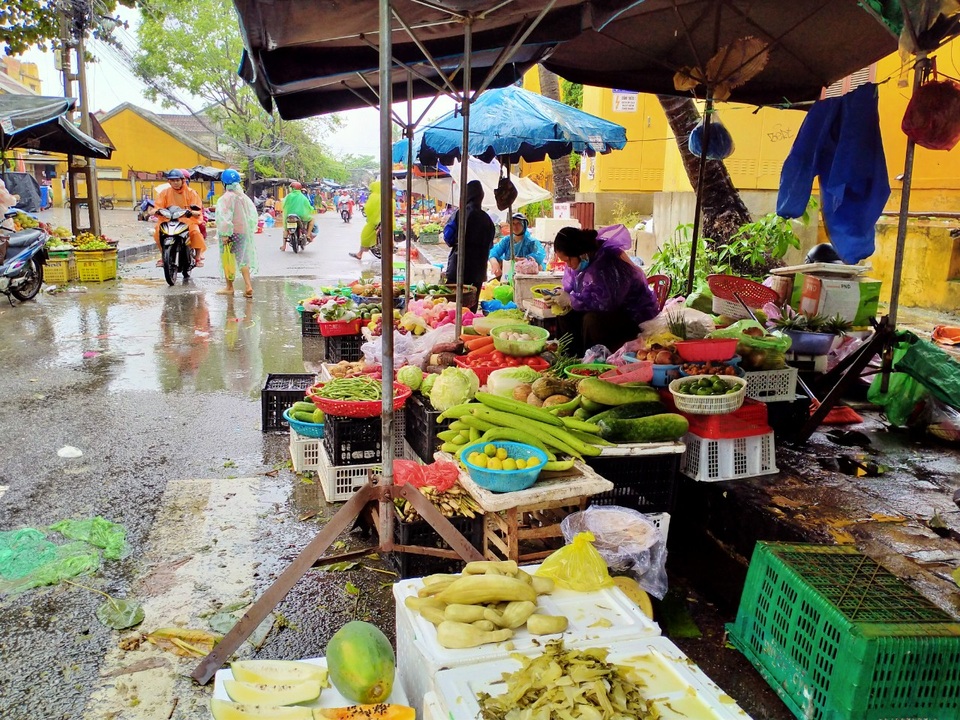 Hội An: Sau lũ lớn, rau xanh khan hiếm, giá tăng mạnh - 1 Hội An: Sau lũ lớn, rau xanh khan hiếm, giá tăng mạnh - 1
