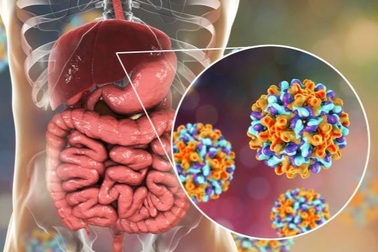 Virus viêm gan B: Kẻ thù siêu nhỏ thách thức y học thế giới