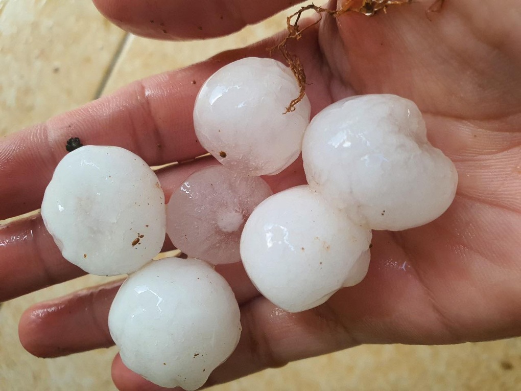 Mưa đá ở Hà Giang và Sơn La gây thiệt hại hoa màu của người dân - 1 Mưa đá ở Hà Giang và Sơn La gây thiệt hại hoa màu của người dân - 1
