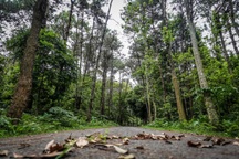 Xây dựng trường ĐH Lâm Nghiệp trở thành trung tâm khoa học ứng dụng công nghệ cao