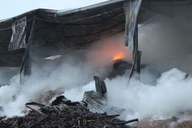 Cháy lớn kho chứa hơn 1 nghìn tấn mùn cưa, dăm gỗ