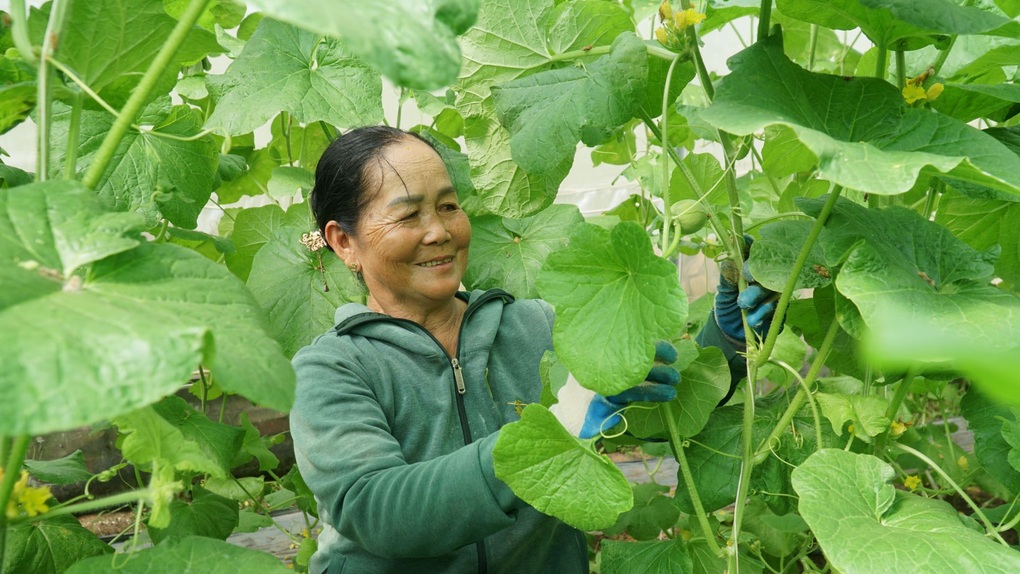 Tây Ninh đặt mục tiêu không còn hộ nghèo vào năm 2030 - 1 Tây Ninh đặt mục tiêu không còn hộ nghèo vào năm 2030 - 1