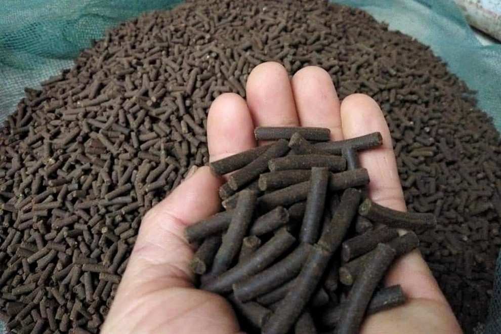 Bỏ TPHCM về quê, thu nửa tỷ đồng mỗi năm nhờ nuôi con một vốn bốn lời - 5 Bỏ TPHCM về quê, thu nửa tỷ đồng mỗi năm nhờ nuôi con một vốn bốn lời - 5