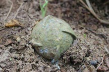 Hơn 800.000 tấn bom, mìn đang nằm dưới lòng đất Việt Nam