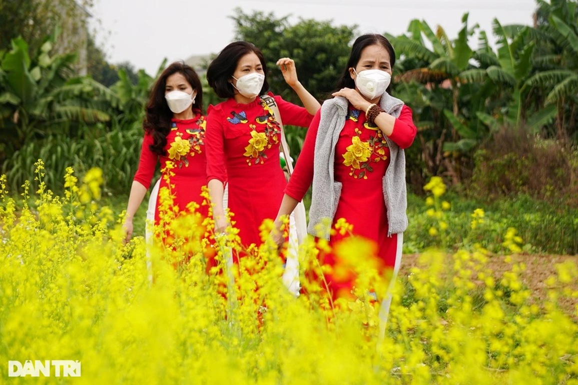 Cán bộ công an về hưu kiếm tiền triệu mỗi ngày từ cánh đồng hoa ven sông - 3 Cán bộ công an về hưu kiếm tiền triệu mỗi ngày từ cánh đồng hoa ven sông - 3